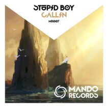 Stupid Boy - Callin' [Mando Records]