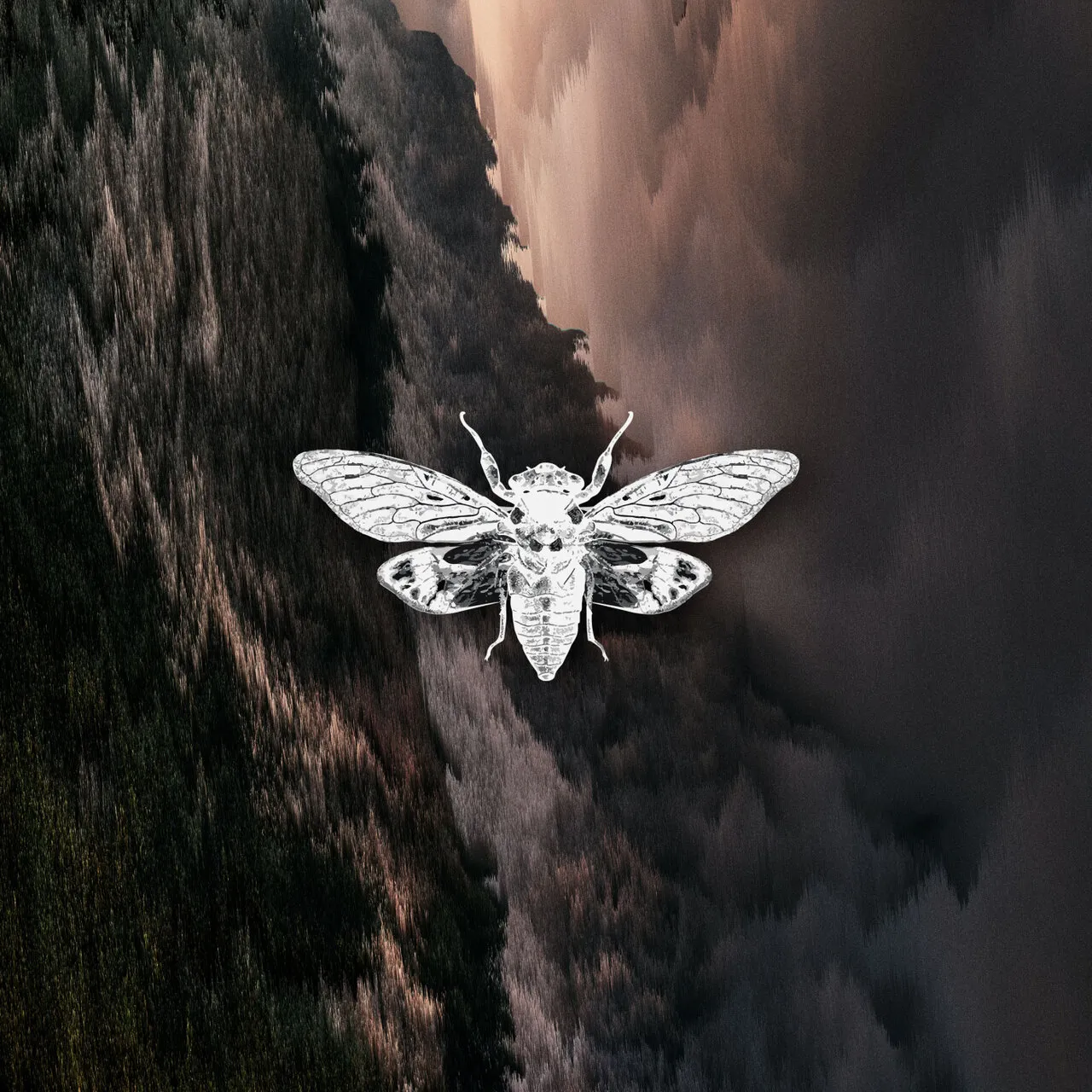 Distorted Reality Vol. II [Ciccada]