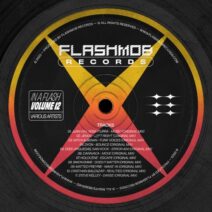 VA - In A Flash, Vol. 12 [FMR236]