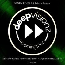 VA - Sandy Rivera & Friends Present [DVR081]