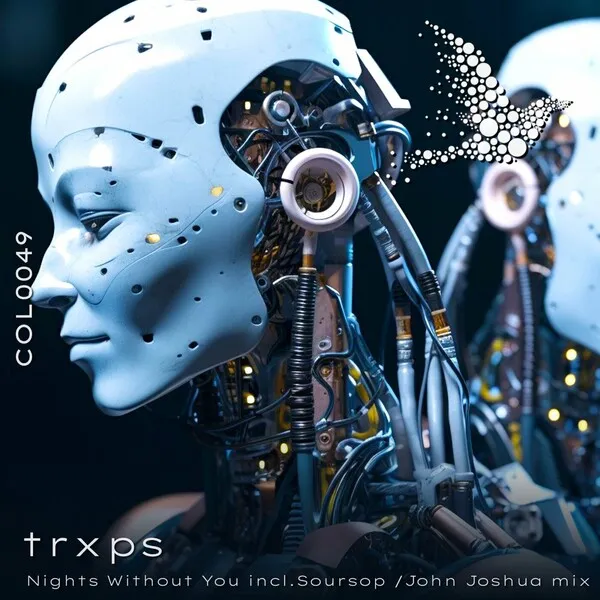 trxps – Nights Without You