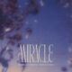 Adriatique, WhoMadeWho - Miracle - RÜFÜS DU SOL Remix [Rose Avenue]