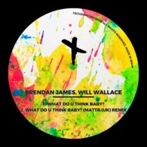 Brendan James, Will Wallace - What Do U Think Baby_ [Techaway Records]