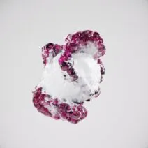 CARLEO – In My Veins