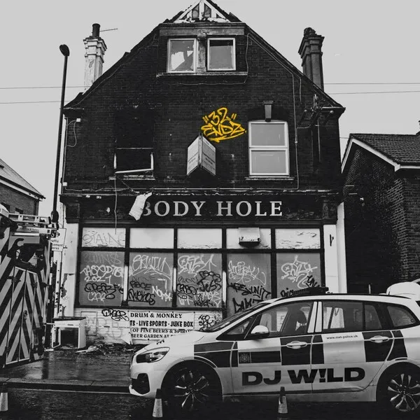 DJ W!LD – Body Hole
