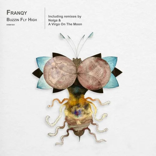Franqy – Buzzin Fly High