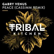 Gabry Venus - Peace (CASSIMM Remix) [Tribal Kitchen]