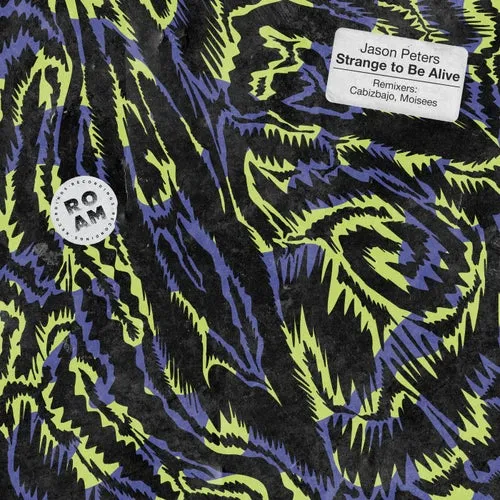 Jason Peters - Strange to Be Alive [Roam Recordings]