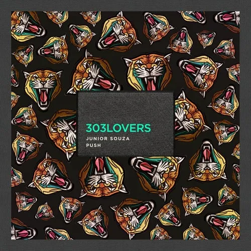 Junior Souza – Push