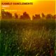 Kamilo Sanclemente - Firefly [Zephyr Music]
