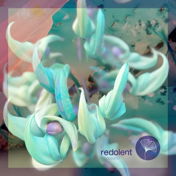 La Santa Music - Kalima [Redolent]