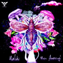 MALIKI - Born Amazing! [Little Insects]