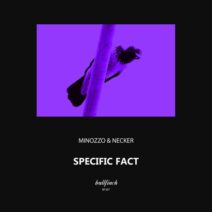 MINOZZO, Necker - Specific Fact [Bullfinch]
