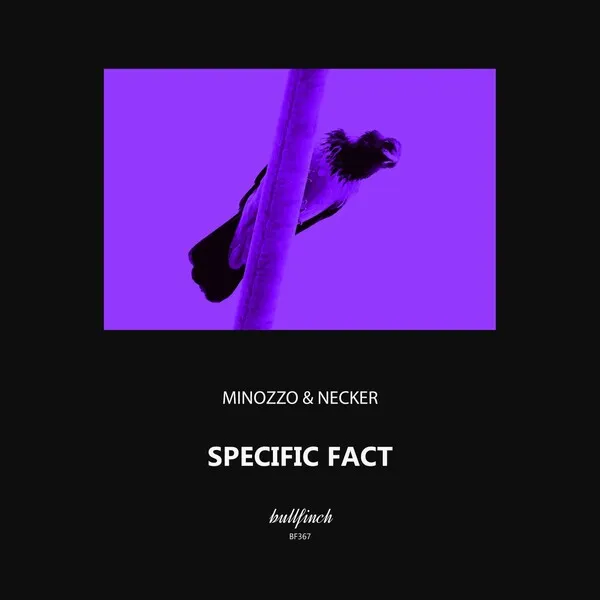 MINOZZO, Necker - Specific Fact [Bullfinch]