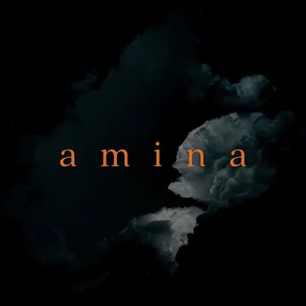 Marek Hemmann – Amina