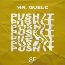 Mr. Guelo - Push It [8Funk Records]
