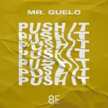 Mr. Guelo - Push It [8Funk Records]