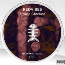 RedVibes - Broken Glitched [Fleshtones]