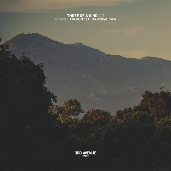 VA - Three of a Kind #21 [3rd Avenue]