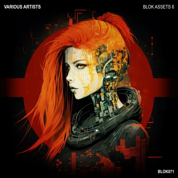 VA - BLOK ASSETS 6 [BLOK]