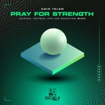 Amir Telem - Pray for Strength [Droid9]