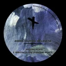 Andre Salmon, Delanene - Special Plate [Techaway Records]