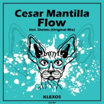 Cesar Mantilla - Flow [Klexos Records]
