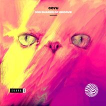 Coyu - 500 Shades Of Groove [Suara]