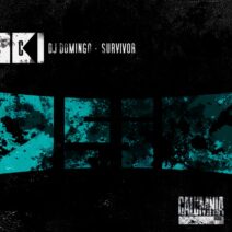 DJ Domingo - Survivor [Calumnia Records]
