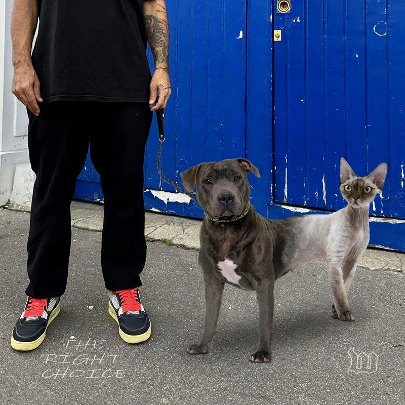 DJ W!ld - The Right Choice [The W Label]