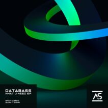 Databass [DE] - What U Need [Addictive Sounds]