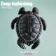 Deep Inzhiniring - Aftershock [Black Turtle Records]