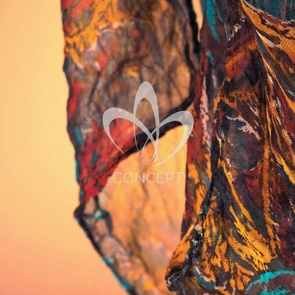 Ignace Paepe – The Dream Duality