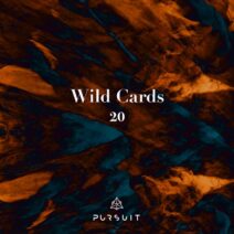MI;LAN, Pammin - Wild Cards 20 [Pursuit]