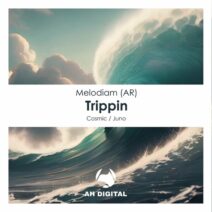 Melodiam (AR) - Trippin [AH Digital]