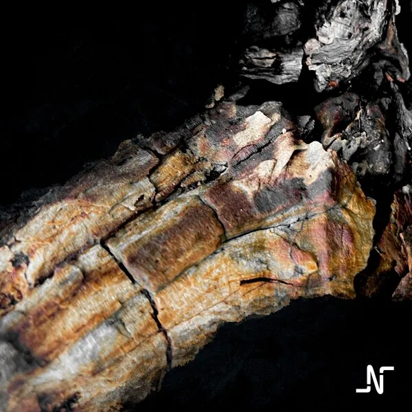 Noir - Distant [Noir Music]