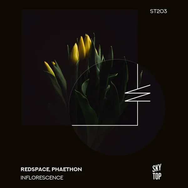 Redspace, Phaéthon - Inflorescence [SkyTop]