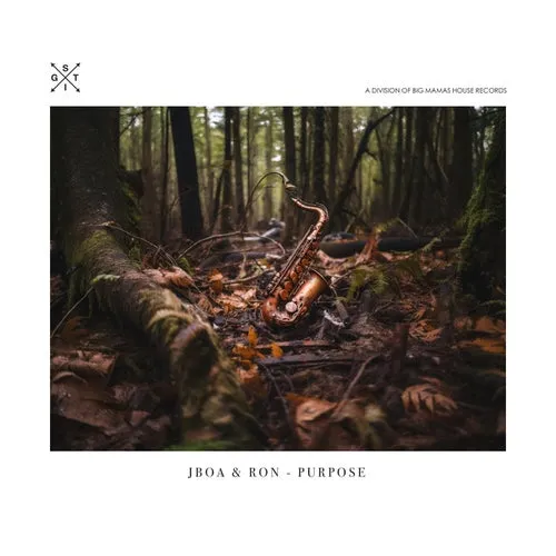 Ron, JBOA - Purpose [STIG]