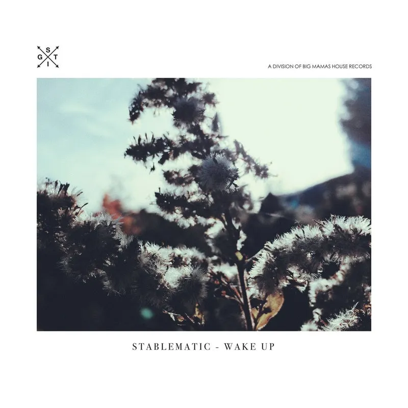 Stablematic - Wake Up [STIG]