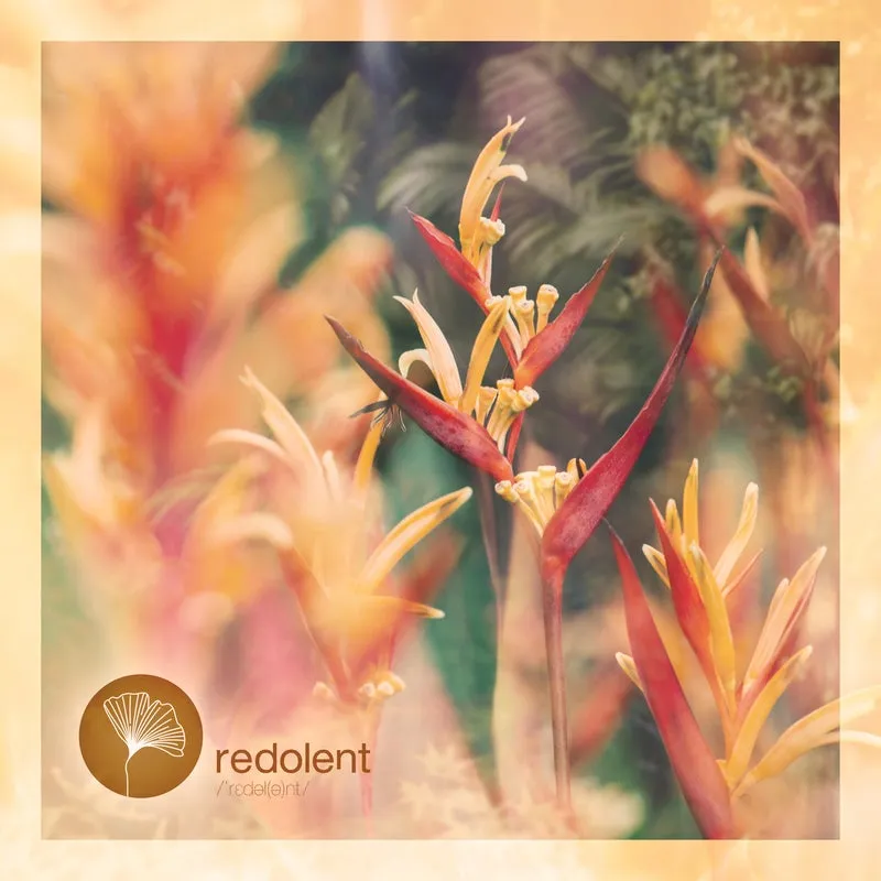 Tanit - Auwa Uwa [REDOLENT]