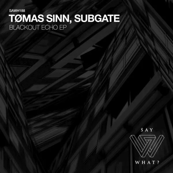 Tømas Sinn, Subgate - Blackout Echo [Say What_]