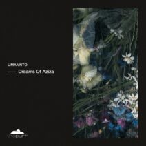Umannto - Dreams Of Aziza [The Purr]