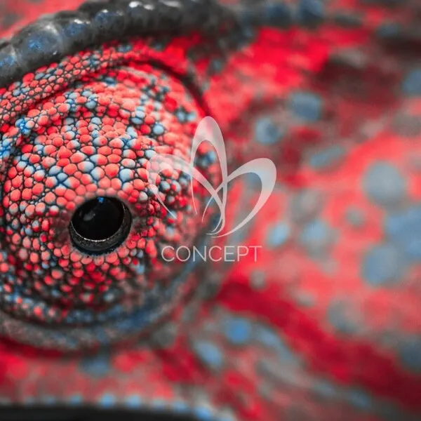 Art Attack, Truescribe – The Return