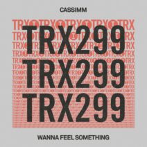 CASSIMM - Wanna Feel Something [Toolroom Trax]