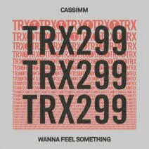CASSIMM - Wanna Feel Something [Toolroom Trax]