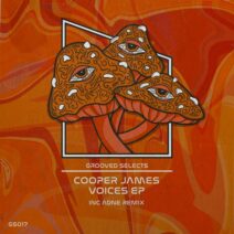 Cooper James - Voices [Grooved Selects]