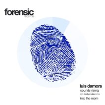 Luis Damora - Sounds Rising : Into the Room [Forensic Records]