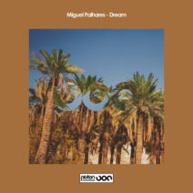 Miguel Palhares - Dream [Piston Recordings ]