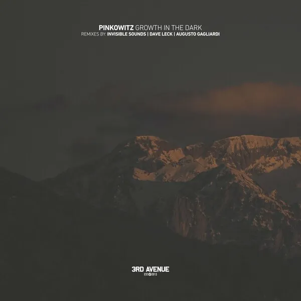 Pinkowitz - Growth in the Dark [3rd Avenue]