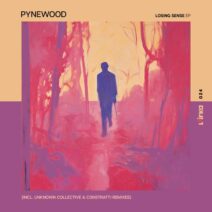 Pynewood - Losing Sense EP [Pirka]